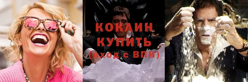 Cocaine FishScale  купить  цена  Братск 