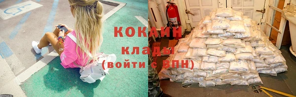 прущие грибы Рыльск