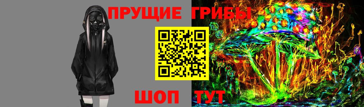 Псилоцибиновые грибы прущие грибы Братск