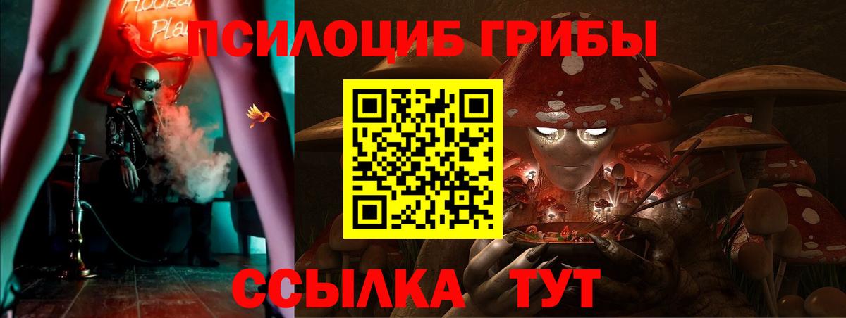 Братск  Галлюциногенные грибы Psilocybine cubensis  Вход с VPN  Псилоцибиновые грибы Cubensis 