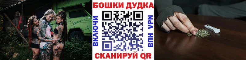 где можно купить   Братск  Каннабис SATIVA & INDICA 