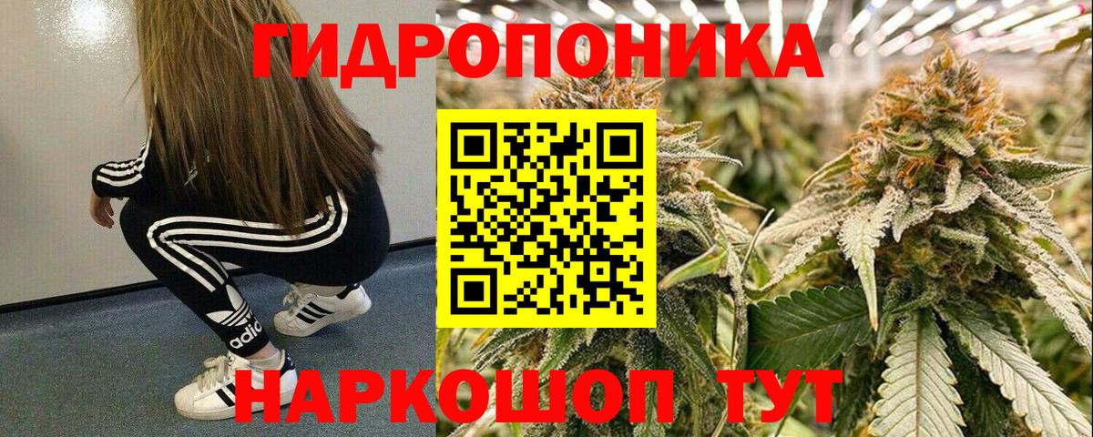 МАРИХУАНА конопля Братск